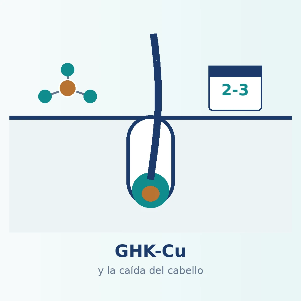 GHK-Cu y la caída del cabello