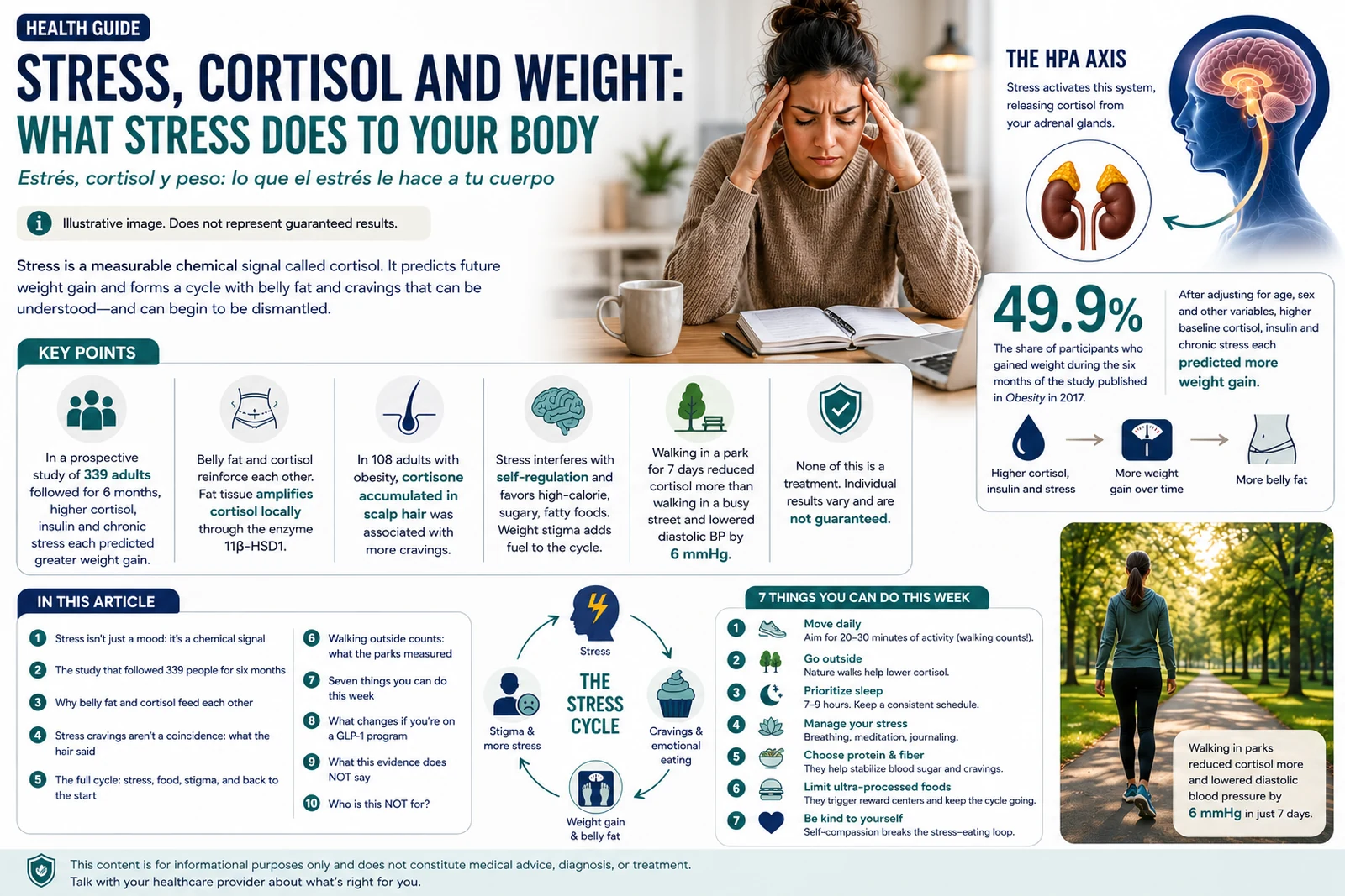 Infographic: Stress, cortisol and weight — key points, the HPA axis, the stress cycle and seven things you can do this week
