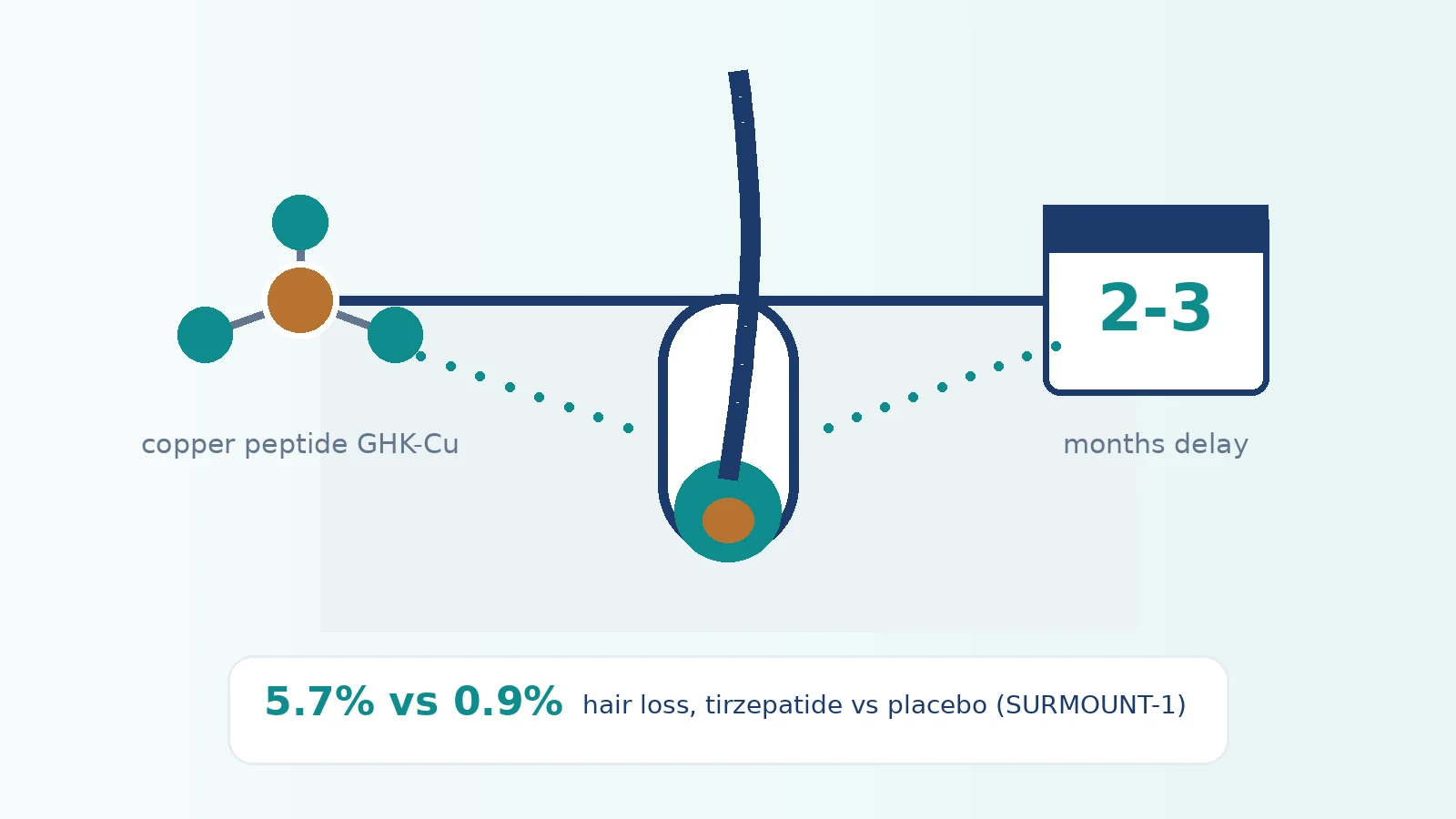 Infographic: GHK-Cu and hair loss — what the evidence shows about the copper peptide, the hair cycle, and shedding during a GLP-1 program