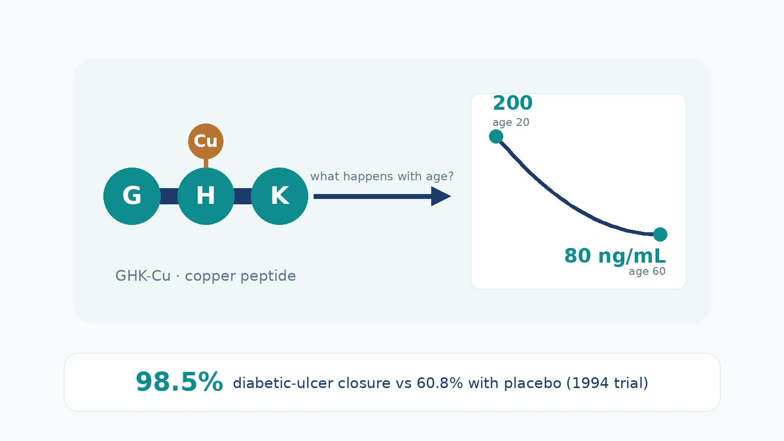 Infographic: GHK-Cu, the copper peptide — three amino acids bound to a copper atom, its decline with age and the diabetic-ulcer trial