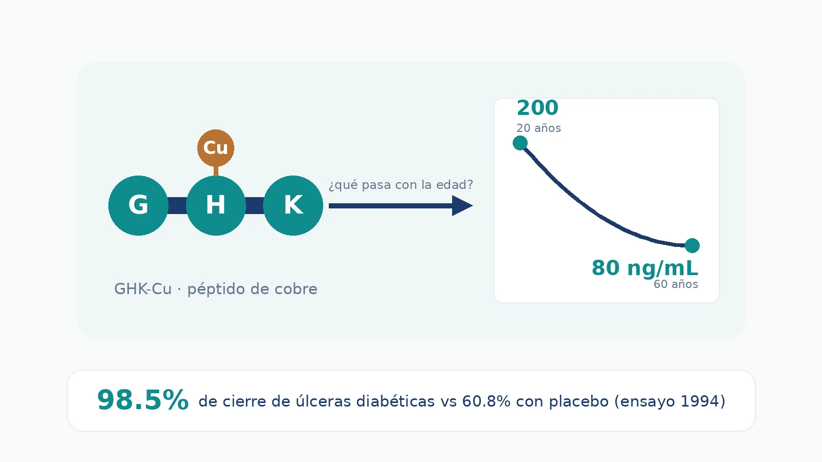 Infográfica: GHK-Cu, el péptido de cobre — tres aminoácidos unidos a un átomo de cobre, su descenso con la edad y el ensayo en úlceras diabéticas