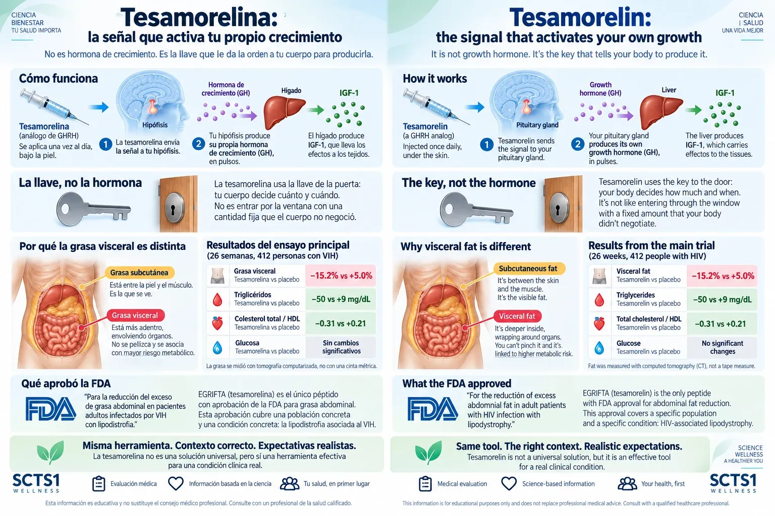 Tesamorelin infographic about growth hormone signaling, visceral fat, clinical trial results, and FDA approval