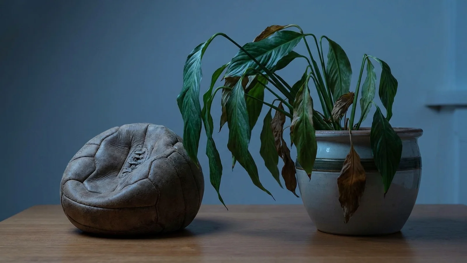Conceptual photo: a deflated leather ball next to a wilting plant on a table — real low testosterone is confirmed with symptoms and two morning tests, not with an ad