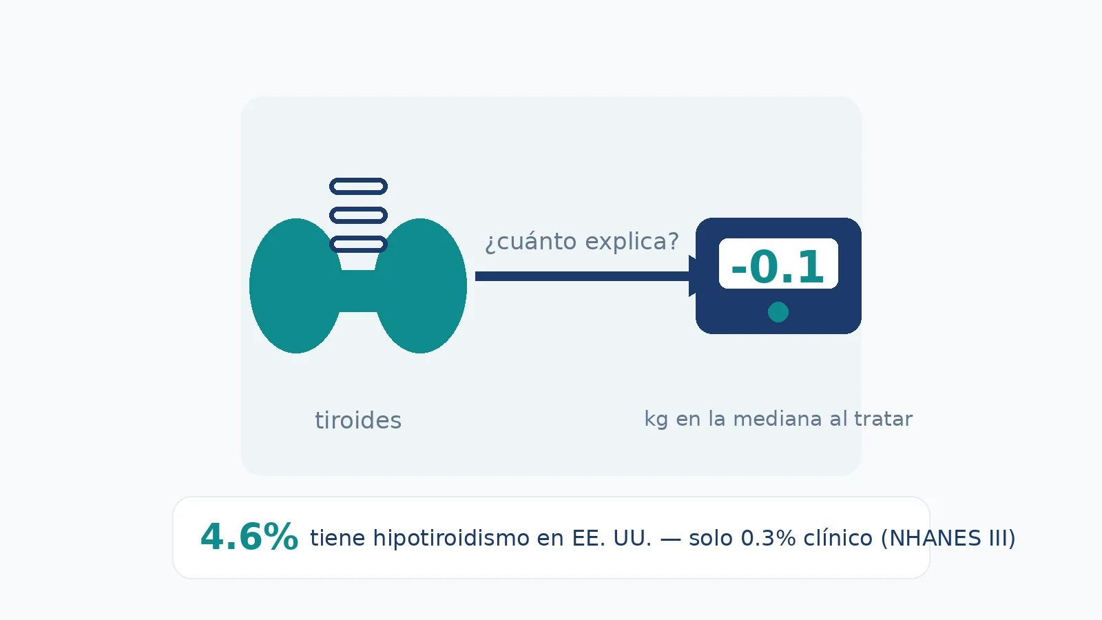 Infográfica: tiroides y peso — cuánto explica la tiroides, qué pasa con el peso al tratar el hipotiroidismo y qué dice la evidencia sobre la TSH y la obesidad